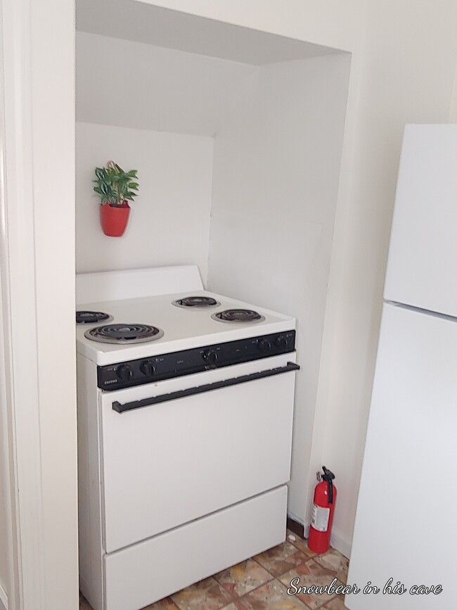 Kitchen 2 - 923 Windsor Ave