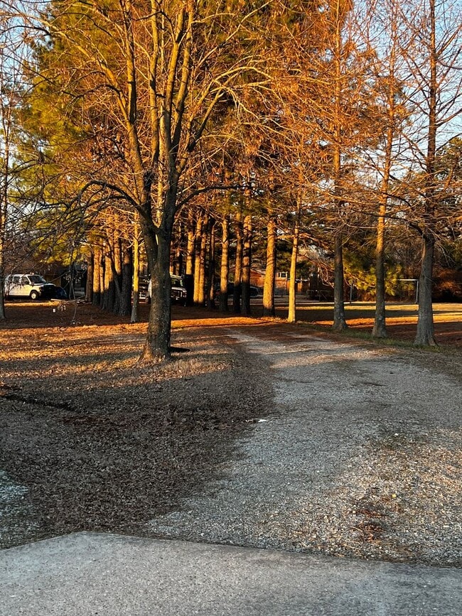 Building Photo - 3220 Horseshoe Trail