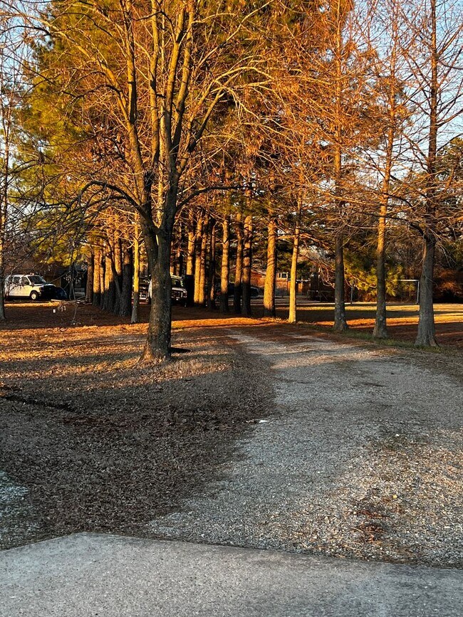 Foto del edificio - 3220 Horseshoe Trail