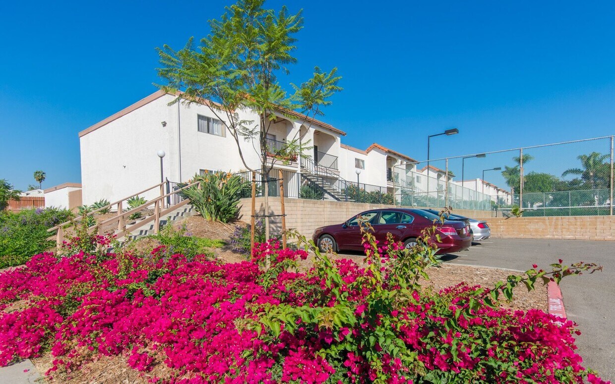 Primary Photo - Cozy 1 Bedroom Condo in the Heart of Vista!