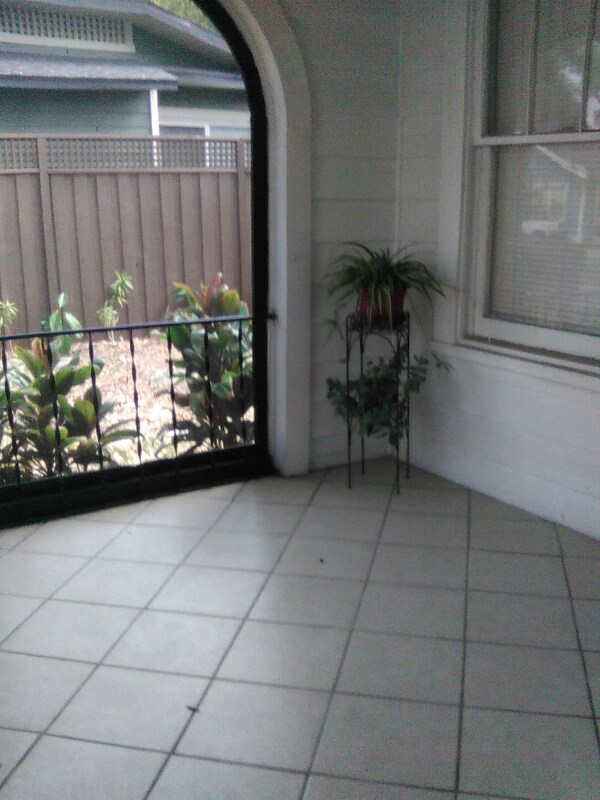 801 E Frierson Ave, Tampa, FL 33603 House Rental in Tampa, FL