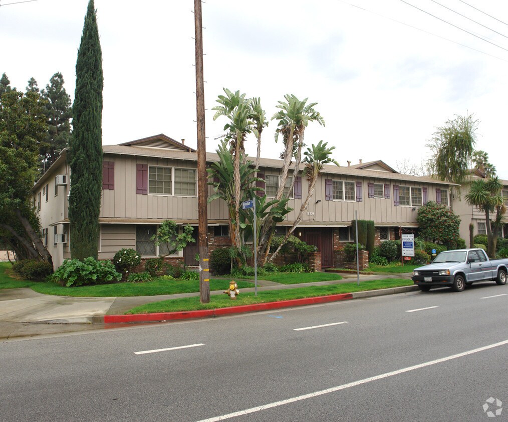 Primary Photo - Chandler Palms