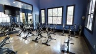This single-floor spin studio is thoughtfully designed for group cycling workouts, combining functional fitness infrastructure with a visually striking interior. The room is defined by deep navy blue walls that create an energizing, focused atmosphere well-suited for high-intensity training sessions. A large wall-mounted mirror spans one side of the studio, enhancing the sense of space while allowing cyclists to monitor their form during rides. Multiple professional-grade stationary spin bikes are arranged in organized rows, providing ample capacity for group classes. The polished concrete flooring adds an industrial aesthetic while offering durability and easy maintenance underfoot. Natural light floods the space through several large, black-framed windows that line the walls, offering views of the surrounding greenery and creating a bright, welcoming environment. The combination of reflective flooring, mirrored walls, and generous window placement makes the studio feel open and airy despite its dedicated, purpose-built layout. Overall, the space delivers a clean, modern, and motivating setting ideal for spin and cycling-focused fitness programming.