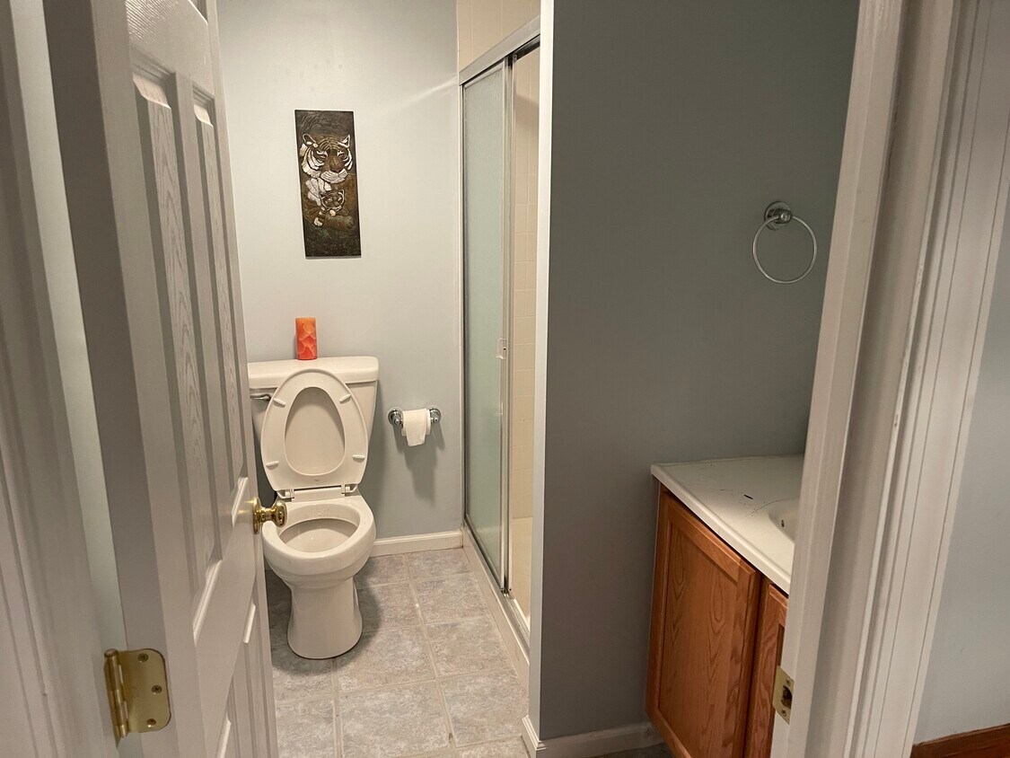 2665 Rainy Spring Ct, Odenton, MD 21113 Townhome Rentals in Odenton