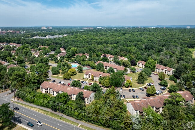 Aerial Photo - Treetops