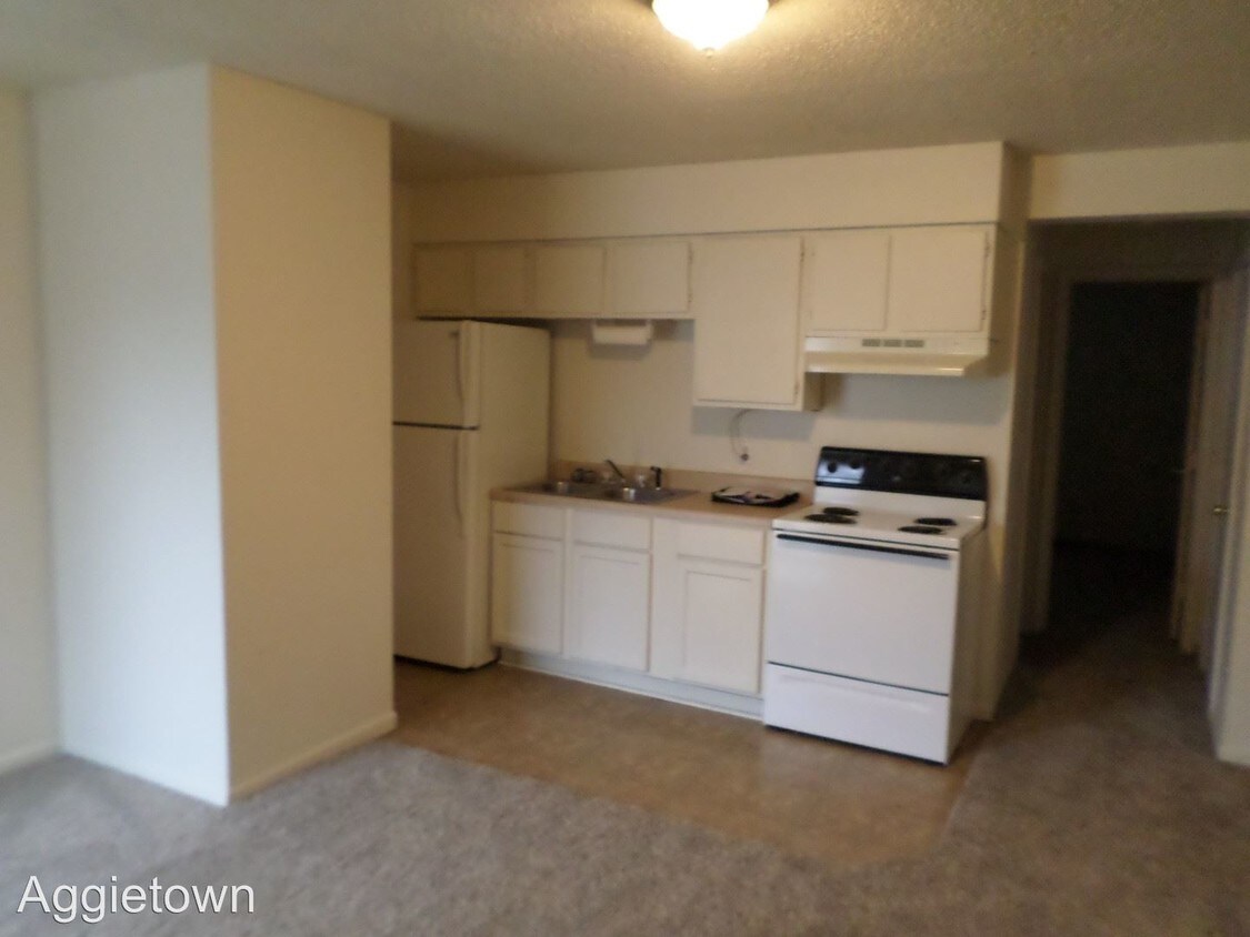 728 W 11th St, Junction City, KS 66441 Apartment for Rent in Junction