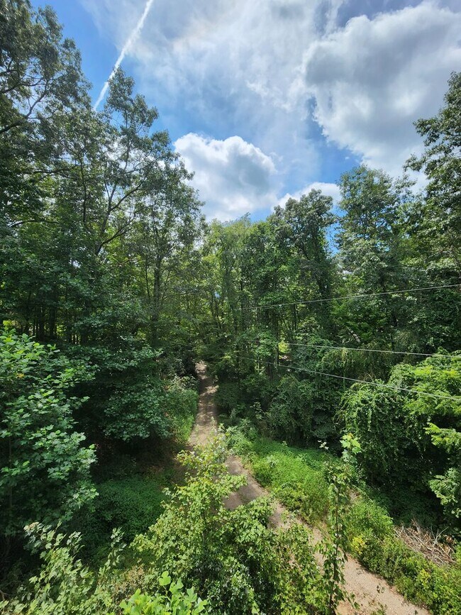 Foto del edificio - Mountain Escape!