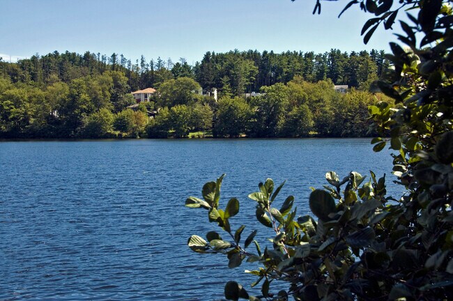 Foto del edificio - 808 Brushy Mountain Rd