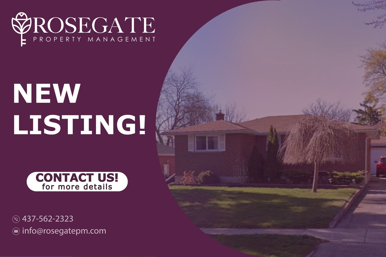 Primary Photo - Spacious 3-Bedroom Basement Unit in Kitchener | Internet & Parking Included