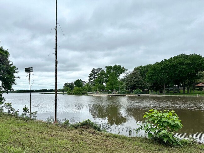 Building Photo - CHARMING HOUSE ON LAKE MEXIA