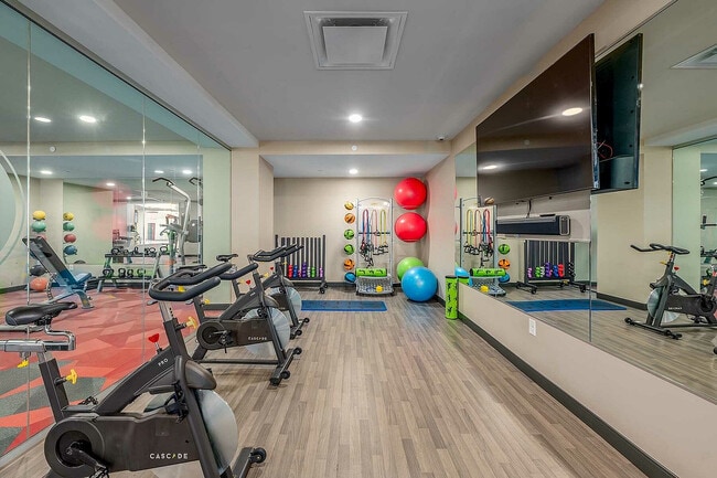 Gimnasio - The Standard