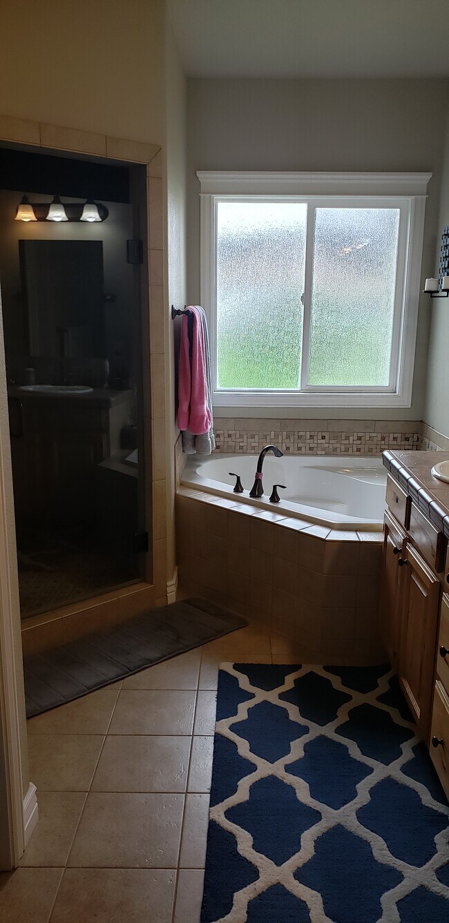 Master Bathroom - 581 Syringa Springs Dr