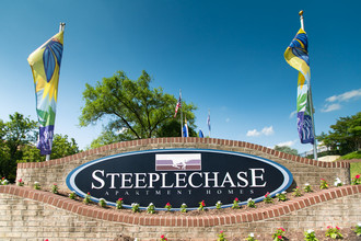 Steeplechase photo'