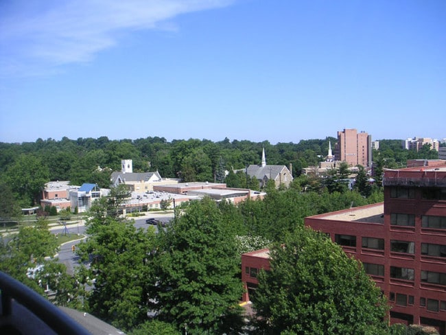 Terraza Irvine_Newport Beach - 4808 Moorland Ln