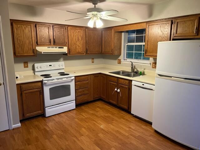 Building Photo - 837 Orlando Ct