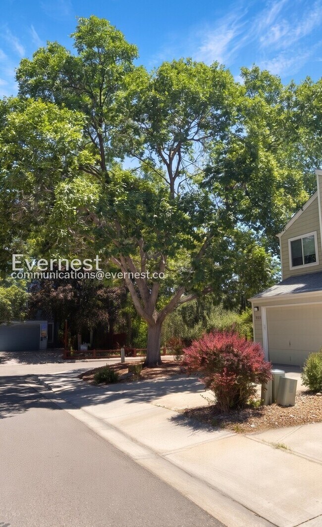 Building Photo - 4121 Amber St