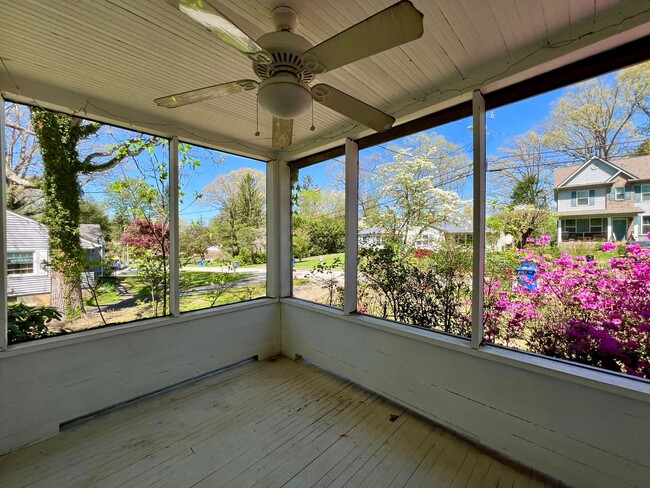 Foto del edificio - 3 Bedroom, 1 Bath, Nice Backyard!