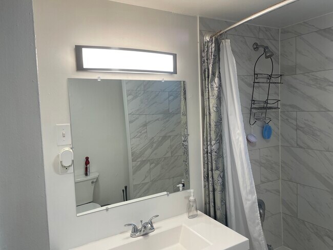 Fully remodeled tile bathroom - 719 East Fremont Street