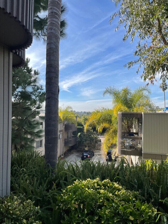 Building Photo - 155 Rosebay Dr