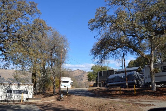 Building Photo - Oak Knolls Trailer Park