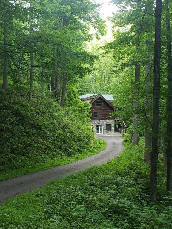 1009 Laurel Cove Rd House Rental in Mars Hill, NC