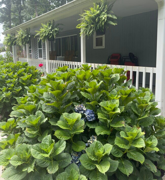 Foto del edificio - 4309 Mink Livsey Rd