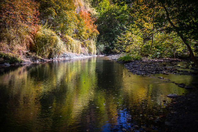 Creek near house. - 114 Ferris Place