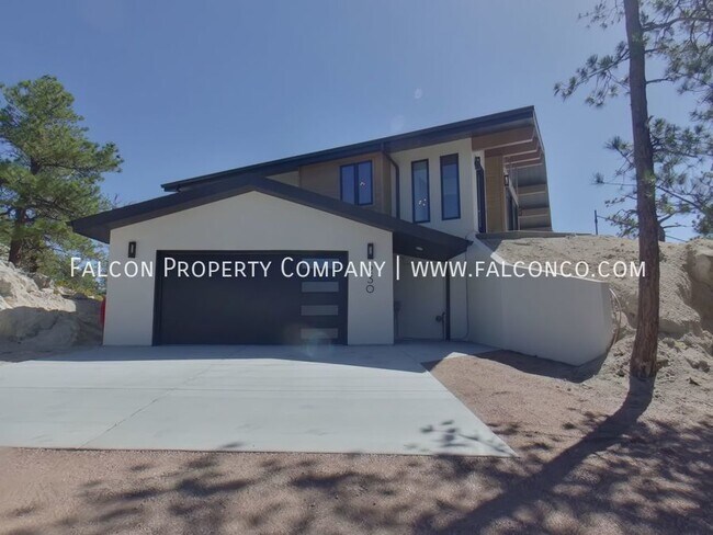 Building Photo - Spectacular New Build Home in Monument! - ...