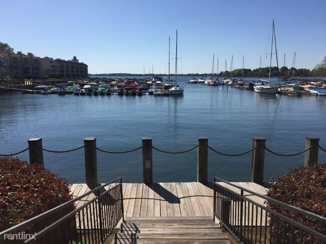 Building Photo - 2 br, 2 bath Condo - 18807 Vineyard Point Ln