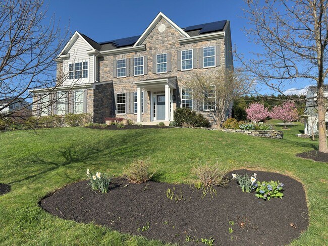 Foto del edificio - Spacious 4 Bed 3.5 Bath Home in Round Hill VA For Rent!