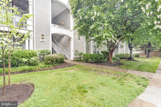 Foto del edificio - 1701 Lake Shore Crest Dr