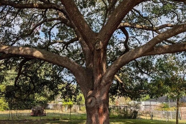 Foto del edificio - 6033 NW 33 St