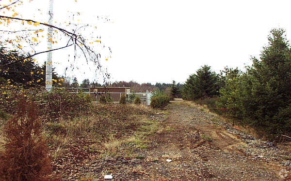 Building Photo - Excalibur Village