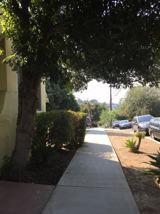 Building Photo - 1666 Edgecliffe Dr