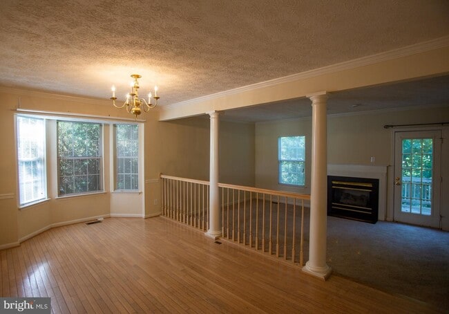 Building Photo - 101 Healy Ct