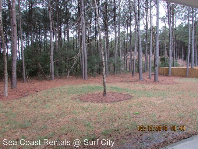 Building Photo - 4 br, 3 bath House - 425 Canvas Back Lane