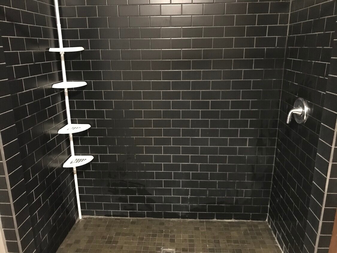 1st floor accessible shower - 2500 Winfield Way NE