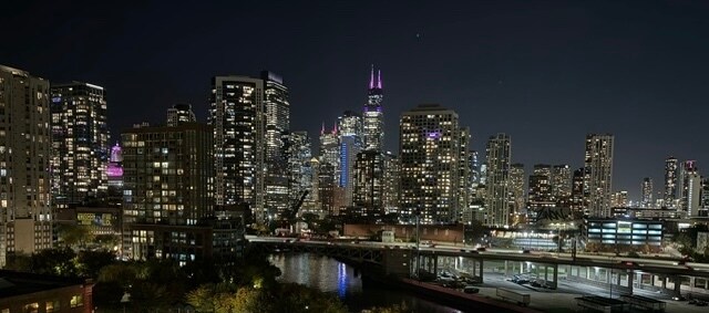 Photo - 700 N Larrabee St Apartment