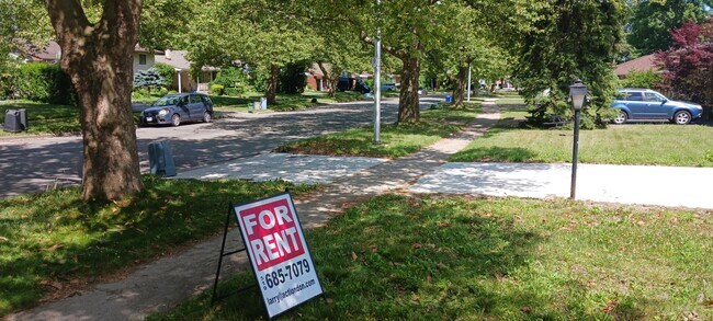 Tree-lined street - 568 Viscount Rd