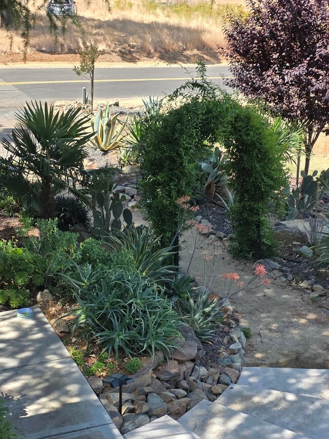 ARCH WAY INTO YARD - 1496 Malcolm Dixon Rd