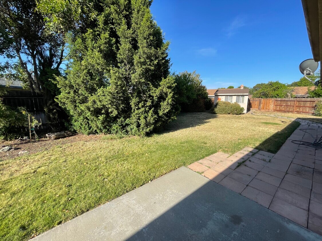 Rear yard - 2980 Blackburn Ct