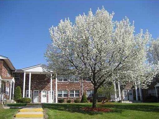 Primary Photo - 276 Temple Hill Rd