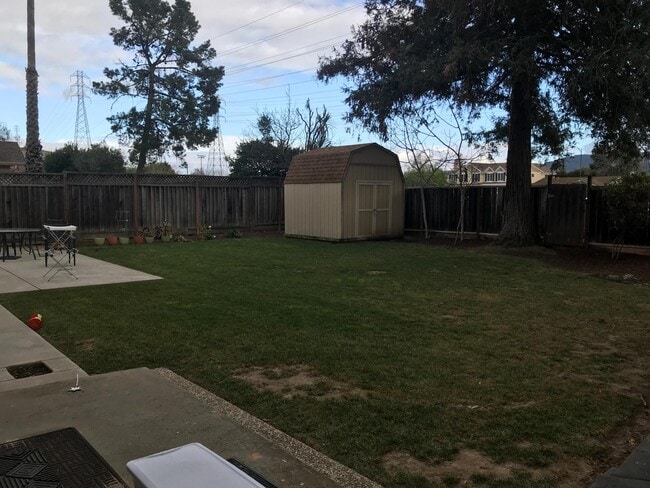 Backyard - 1132 Rhinecastle Way House