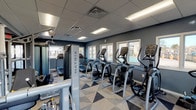 The fitness center at Crossing at Plainsboro is a thoughtfully designed, single-floor facility that offers a comprehensive workout experience. The space is finished with a distinctive geometric-patterned carpet in neutral tones of gray, beige, and charcoal, adding a modern aesthetic to the interior. Cool-toned slate-blue walls and a suspended drop ceiling with recessed fluorescent lighting create a clean, well-lit environment throughout.

The cardio zone lines the windowed perimeter of the facility, housing a row of Matrix treadmills and elliptical trainers. Multiple windows along the walls flood the space with natural light and provide views of the surrounding community, making workouts more enjoyable.

The strength training area is generously equipped with Matrix cable machines, multi-functional weight stations, and a dedicated free weights section featuring a full rack of dumbbells and a flat workout bench. Floor-to-ceiling mirrors are strategically placed to enhance the sense of space and allow users to monitor their form during exercises.

Decorative white columns add an architectural accent to the interior, while glass-panel entry doors provide easy access. The facility is well-organized, allowing users to move freely between cardio and strength zones. Overall, the fitness center presents a clean, modern, and fully equipped environment suited for a wide range of workout routines.
