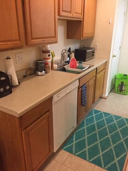 Kitchenette with Sink, Garbage Disposal, Dishwasher, Cabinets, and Fridge/Freezer - 9028 Woodpecker Ct