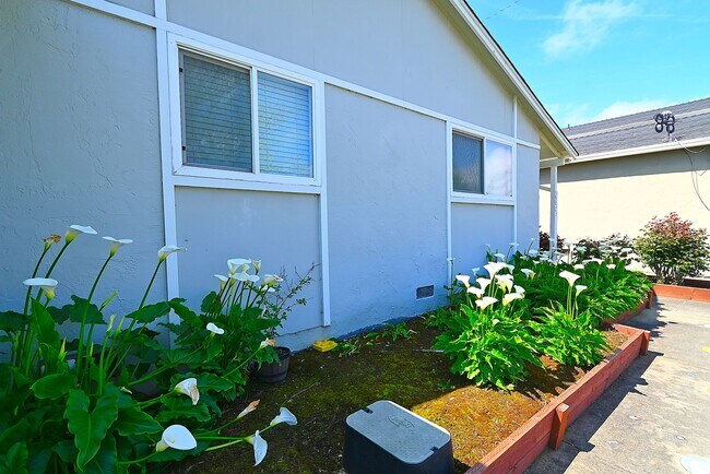 Building Photo - $3490 / 3 BED, 2 BATH BEAUTIFUL SUNDALE HOME