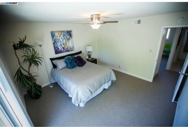 Foto del edificio - 915 Snowberry Ct