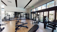 Located at 9840 Carroll Canyon Road in San Diego's Scripps Ranch neighborhood, this single-level fitness center is designed with both functionality and aesthetics in mind. The space features soaring ceilings with exposed dark beam accents and recessed lighting throughout, creating an open, energizing atmosphere well-suited for exercise.

The main workout area is anchored by warm hardwood-style flooring and lined with large mirrors along multiple walls, amplifying the sense of space and allowing users to monitor their form. Floor-to-ceiling windows and glass doors flood the interior with abundant natural light while offering views of the surrounding outdoor amenity areas, including palm trees and a pool courtyard beyond.

The facility is outfitted with a comprehensive array of SportsArt-branded equipment, including cable machines, functional trainers, a power rack, adjustable weight benches, and selectorized strength machines. A dedicated cardio alcove houses treadmills and elliptical machines near shaded roller windows. A geometric three-dimensional wall panel serves as a design focal point, adding an architectural element to the space. The overall aesthetic is modern and clean, with a predominantly black, white, and natural wood palette.