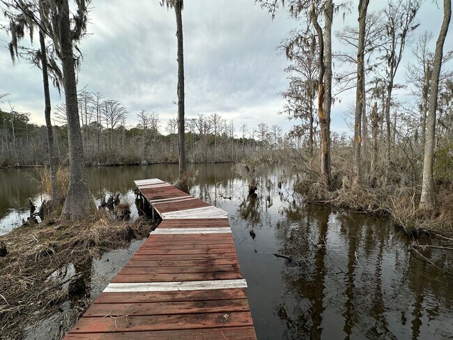Building Photo - Elegant Waterfront Retreat with Access to Boat Ramp