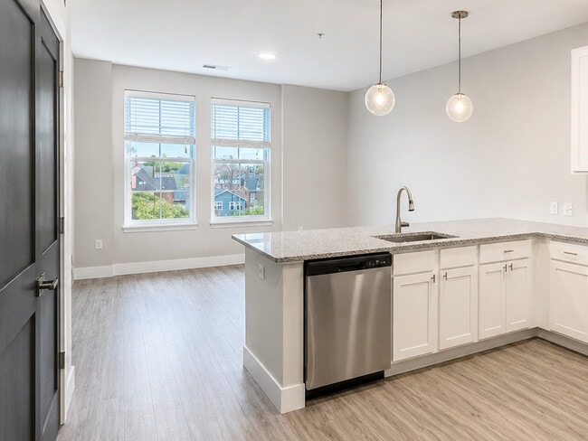 The Pewter - Kitchen & Living - Triumph Apartments